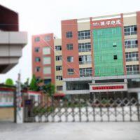 中山市博宇電線有限公司