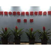 河南中唐電線電纜有限公司