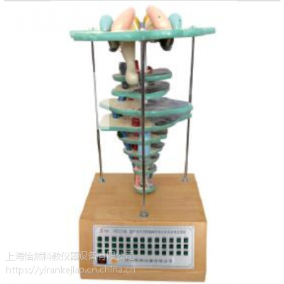 XXˮƽкX(jng)wP(gun)ϵ