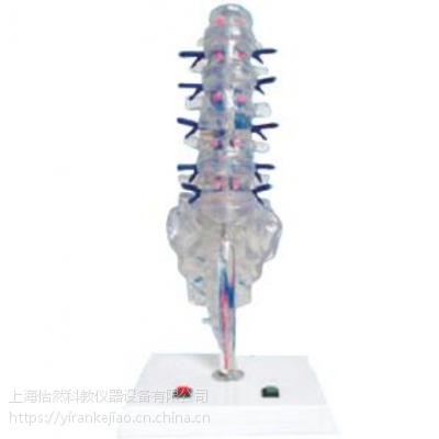 ׵׵gPͼ(jng)늄ģ