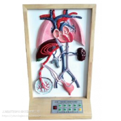 ߼̥ѪҺѭh(hun)Kֹ늄ģ