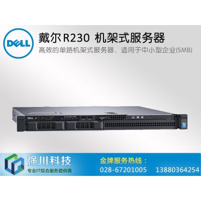 ɶ(w)poweredge r230 C(j)ʽ(w)F(xin)؛