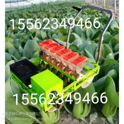 1-6߲˲NC(j) ߲˾C(j) СNӷNֲC(j)