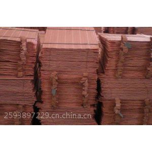 (yng)SֱN 1#늽~ 늽~ r(yu)