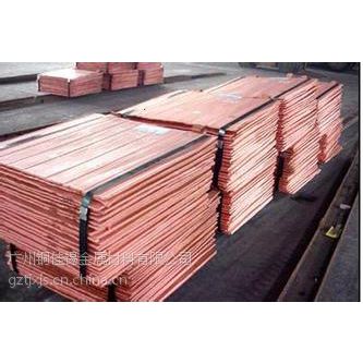 Sҵ̓rNұ 1#늽~ ~ ~V