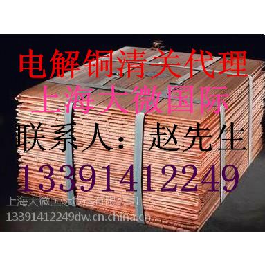 ϺM늽~/tF/iF/F/\V/XV/UV/P(gun)̙zP(gun)}/13391412249