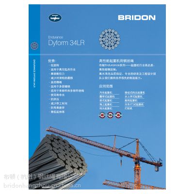 bridon(yu)|D䓽zK