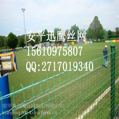̼䓽zoھW(wng)|FzW(wng)|B(yng)ֳˇW(wng)ֱNS