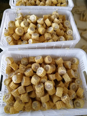 жΙC ϵ»жΙC ȫԄكжΙC 혝׼ӹa(chn)