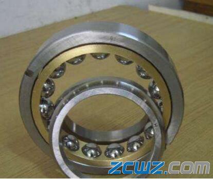 ձM(jn)ڬF(xin)؛NSKS61813N