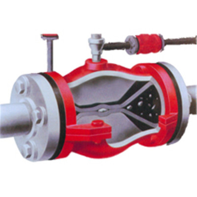 R(yng) Ay wy SֱN F(xin)bָ(do) |(zh)(yu)r(ji) gӭԃ