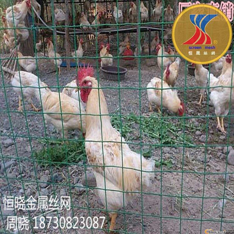 B(yng)u(chng) ɢB(yng)uW(wng)o(h) B(yng)uFzW(wng) mW(wng)SֱN(xio)r(ji)(yu)