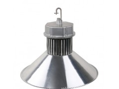 ledʹV40/50/70/80/100w