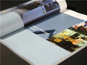 ϺI(y)ӡˢ/ϺI(y)ӡˢr(ji)Ŀ/o