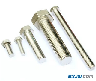 304Pݽz
