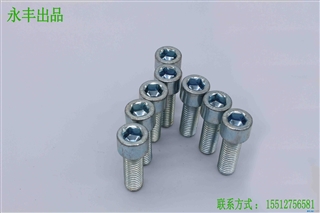 4.8(j)\A^(ni)Ǉ(bio)˨GB70.1