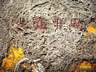 (yu)|(zh)Rβ 1