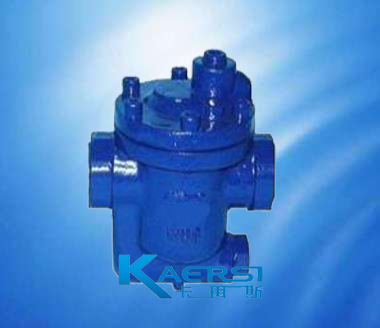 980981981-3982983881