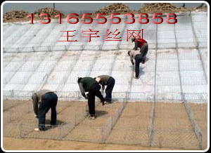 \ܸeW(wng)|\XϽeW(wng)|䓽zߠʯ\W(wng)|\Zo|