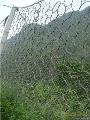 SPIDERӷoW(wng)֩W(wng)RXIh(hun)αӾW(wng)