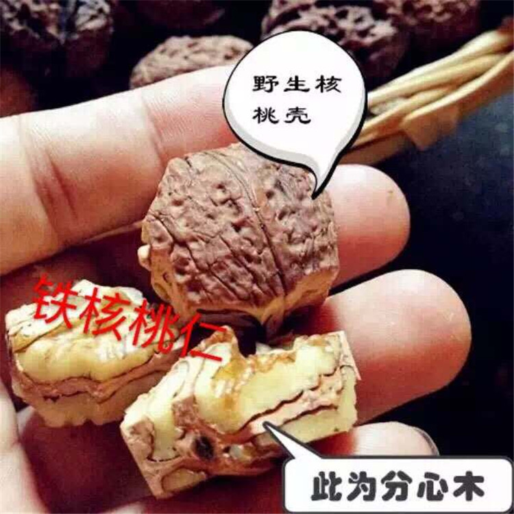 2021ե F Ͻ Ϯa(chn)^(q) 
