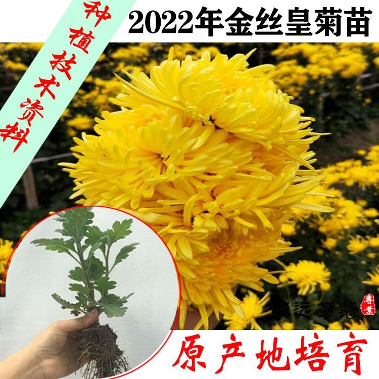 2022zʾշNֲg(sh)-zʾ-h(yun)