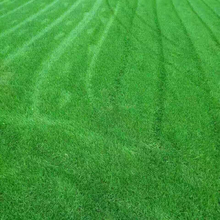 첥ƺ-`̤-G-ǧӳֲ