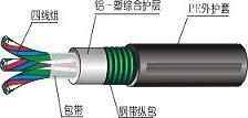 F·̖̌|PTYA23|(bo)r(ji)(D)
