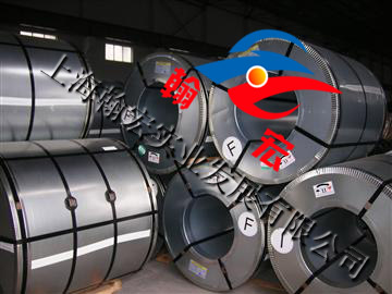 (yng)|(zh)(yu)r309S P