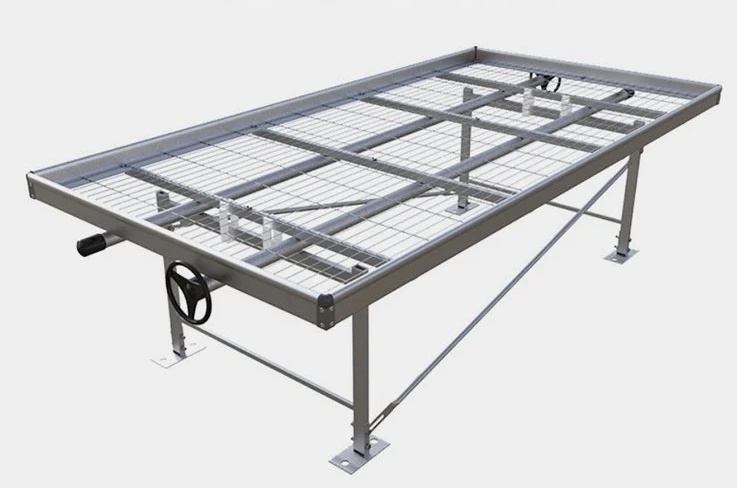 Ƅ紲 ϫ紲  ȫԄ紲 I(y)a(chn)S