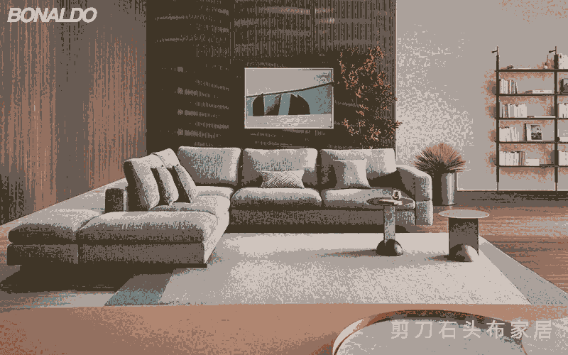 ҾBONALDOЮa(chn)ͥҾx