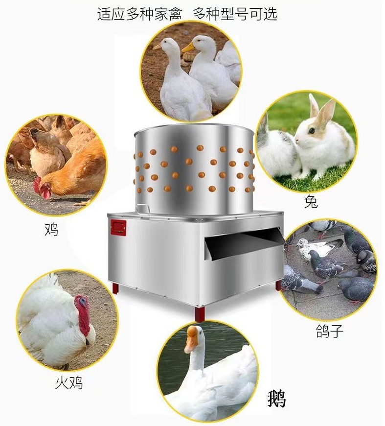 PȫԄ(dng)ÓëC(j) üÓëO(sh)