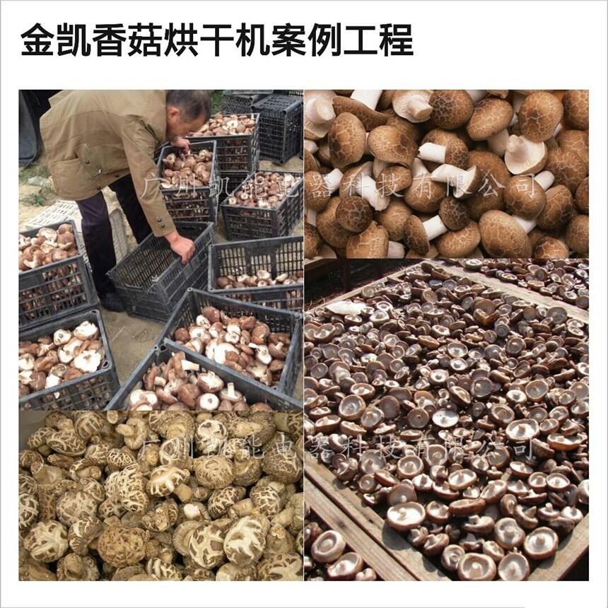 㹽əCЧ