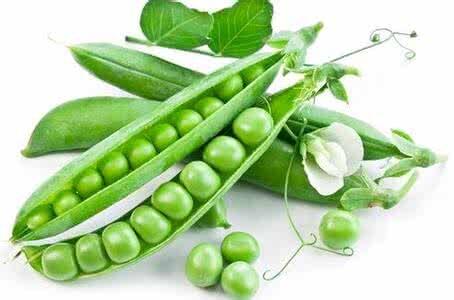 ôM㶹uMڈP(gun)ļҏ