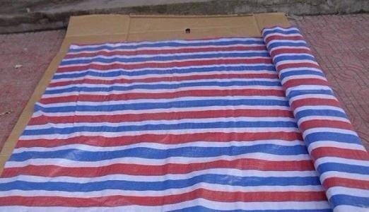 C(gu)(bio)Ѵʗl|(zh)ɿ%%