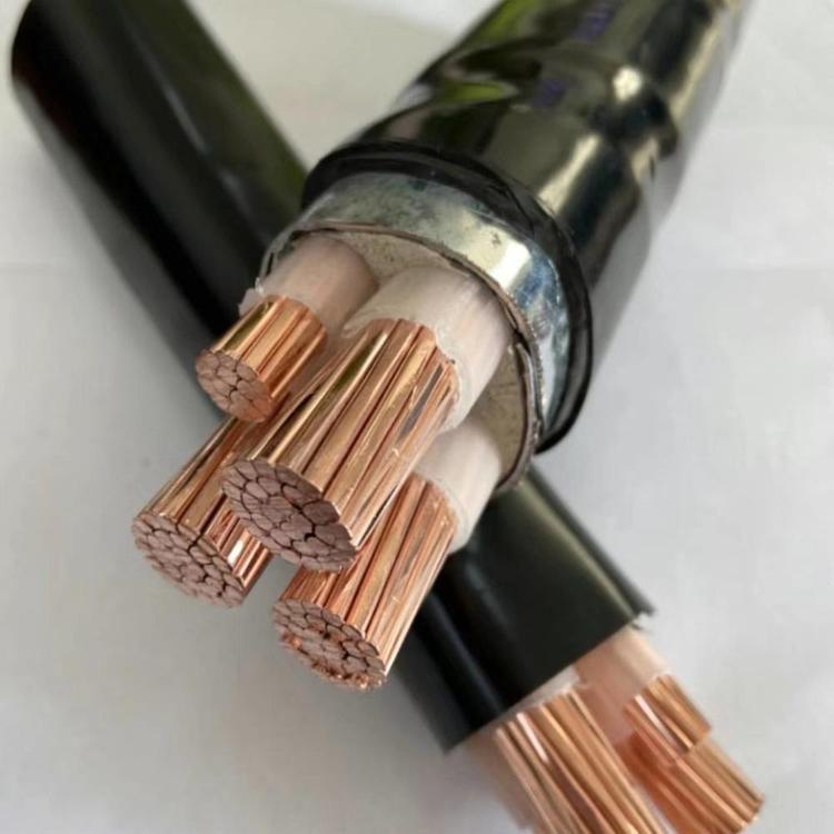 WD-MYJY33 0.6/1KV 3*95+1*25Vßo(w)u͟䓽zzb|