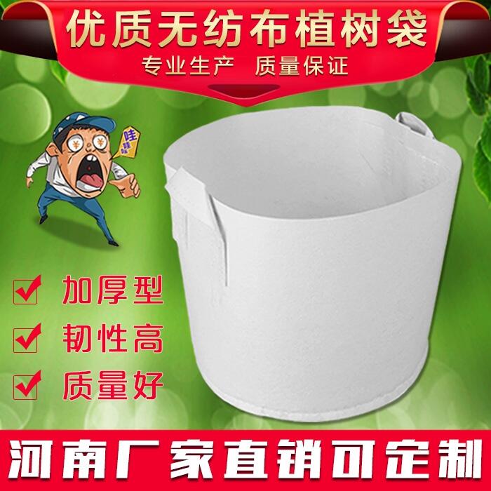 河南無紡布植樹袋
