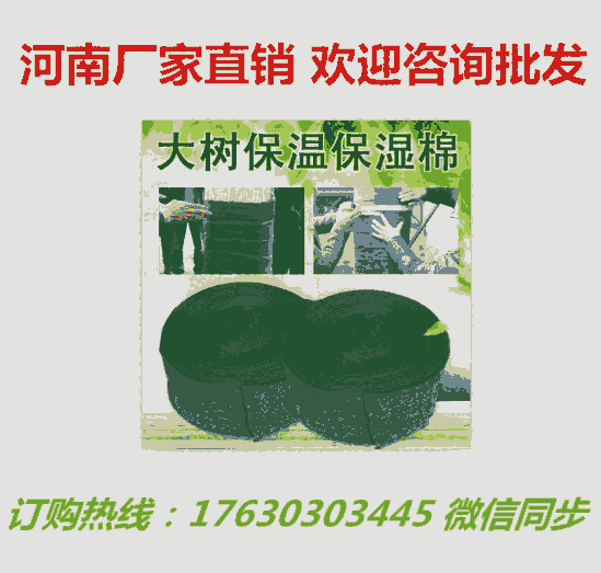 һwGɫwSp䎧