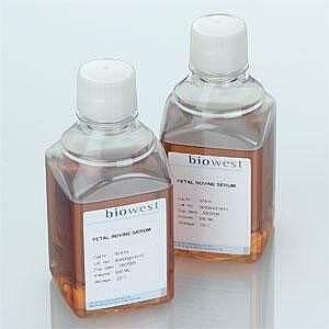 M(jn)Ϳψ(bo)P(gun)˾