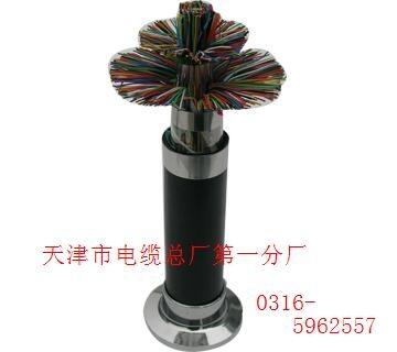 鎧裝通信電纜ZC-HYA53-20*2*0.5