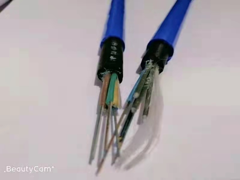 (gu)(bio)׵VͨŹ|MGTSV-24BúCRȫSֱN