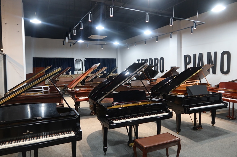 C,BECHSTEIN W޵ؐϣ˹̹l(f)