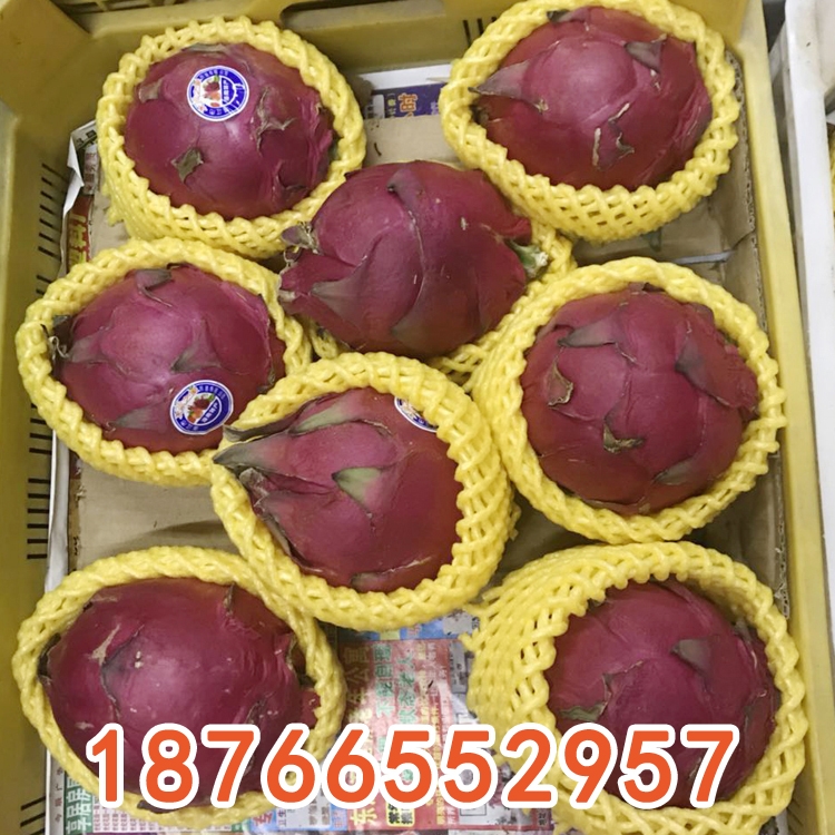 ͬһC(j) ๦ȫԄˮW(wng)יC(j)