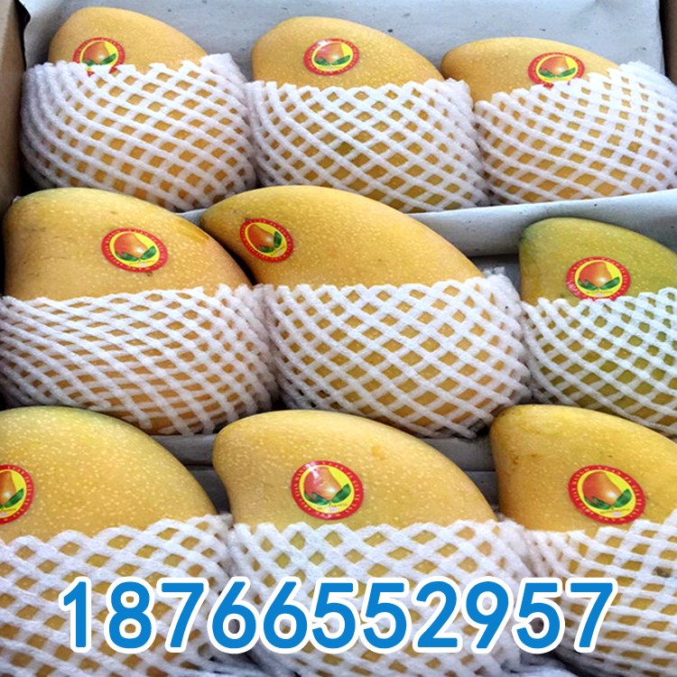 ݾW(wng)יC(j)O(sh)  ɽJĭW(wng)יC(j)е