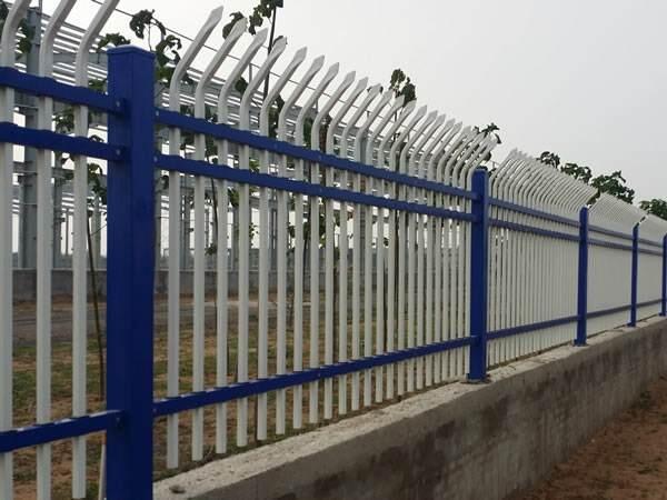 С^(q)eo(h)ڼðȫo(h)