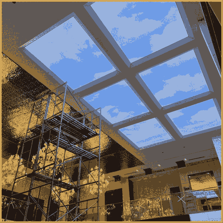 ɽL(zhng)ܛĤ컨 Ӿ^{(ln)Ƶ