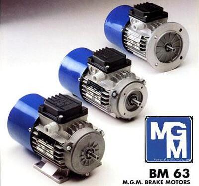 MGMXֱx܇늙C(j)  BM132MA4  7.5KW