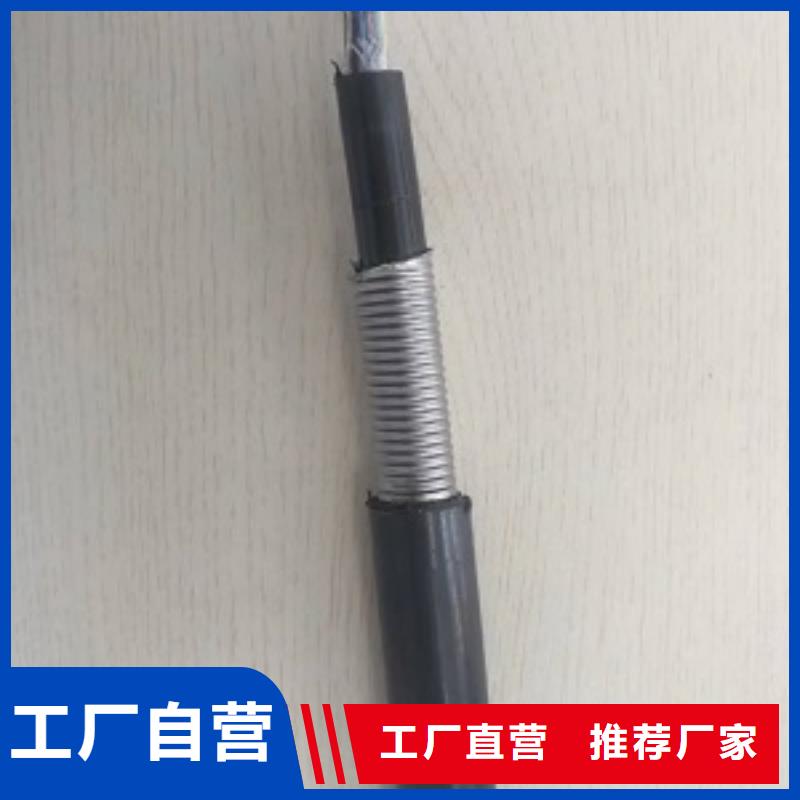 WDZCN-YJY23-0.6/1KV-3X10+2X6.0o(w)u͟ͻ|