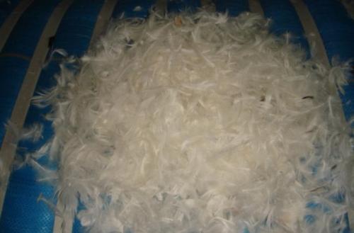 |ݸëM(jn)ڈP(gun)˾