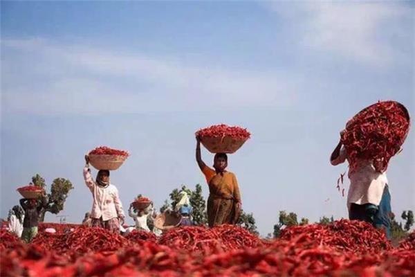 ӡS17MڈP(gun)ע̆Γ(j)P(gun)rЧ